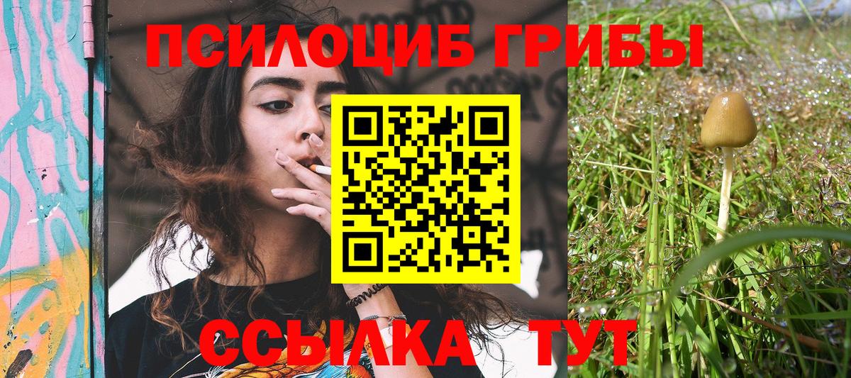 Галлюциногенные грибы Psilocybine cubensis  Вход с VPN  Уссурийск  Псилоцибиновые грибы прущие грибы 