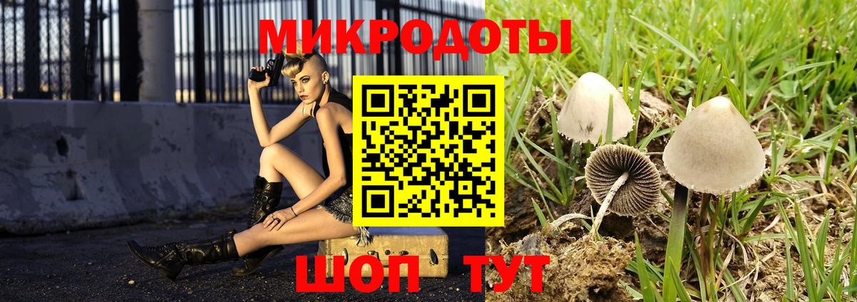 Галлюциногенные грибы Cubensis Уссурийск